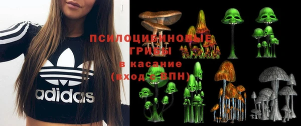амфетамин Алексин