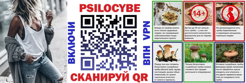 Псилоцибиновые грибы Psilocybine cubensis  Ставрополь 